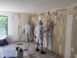 Best Mold Remediation for Healthcare Facilities  in Skippers Corner, NC